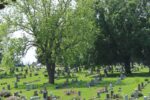 Thumbnail for the post titled: Mount Hope Cemetery announces 2021 spring clean-up dates