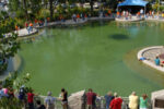 Thumbnail for the post titled: DNR seeks State Fair Fishin’ Pond volunteers for 2023